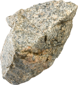 Stein